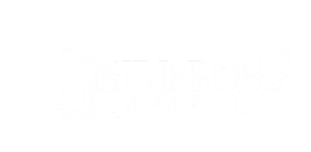 Girl Boss Academy